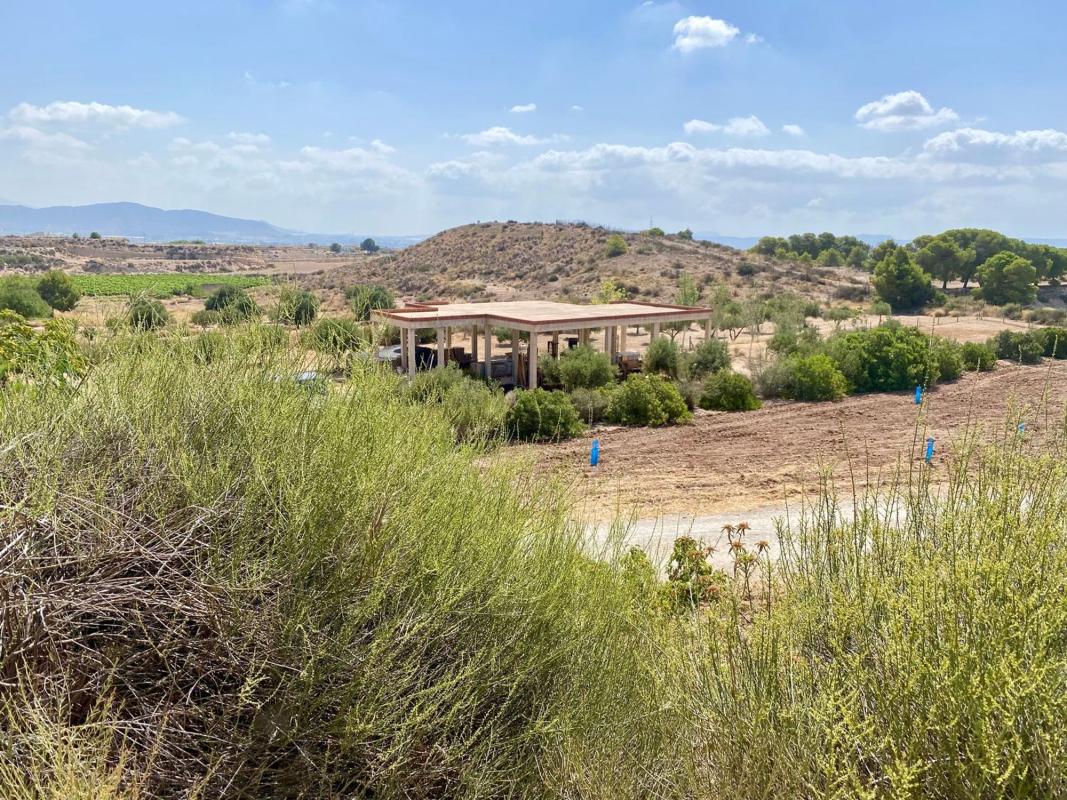 Sale of rural property in Finca rústica en Paraje Cucuch s/n, Novelda , Novelda photo 4