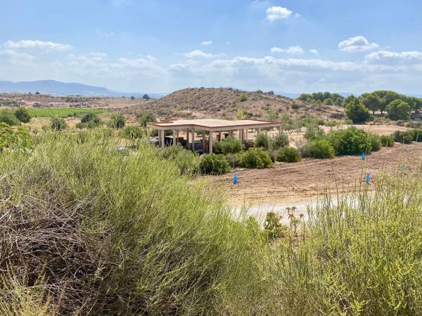Rustic farm for sale in  Finca rústica en Paraje Cucuch s/n, Novelda , Novelda photo 4