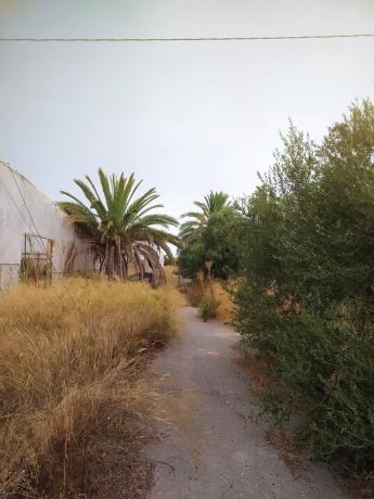 Casa rural en Asprella, Las Bayas-Asprillas, Elche / Elx photo 1