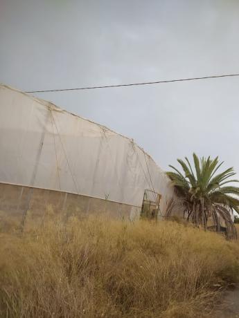Casa rural en Asprella, Las Bayas-Asprillas, Elche / Elx photo 3