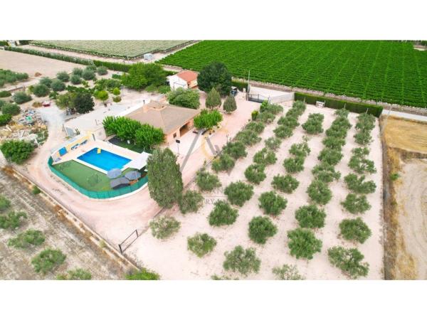 Independent chalet for sale in Casa o chalet independiente en Partida Campet, 65 g, Novelda, Novelda
 photo 1