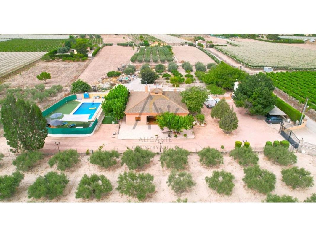 Sale of independent chalet in Casa o chalet independiente en Partida Campet, 65 g, Novelda, Novelda
 photo 4