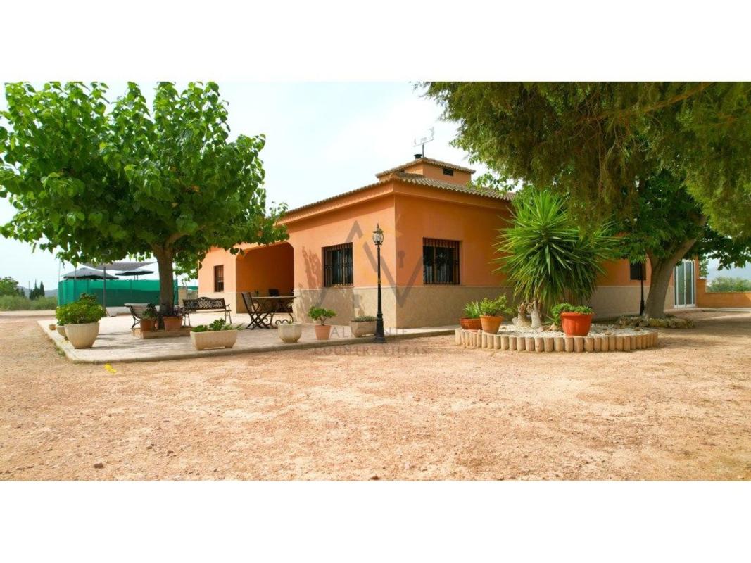 Sale of independent chalet in Casa o chalet independiente en Partida Campet, 65 g, Novelda, Novelda
 photo 5