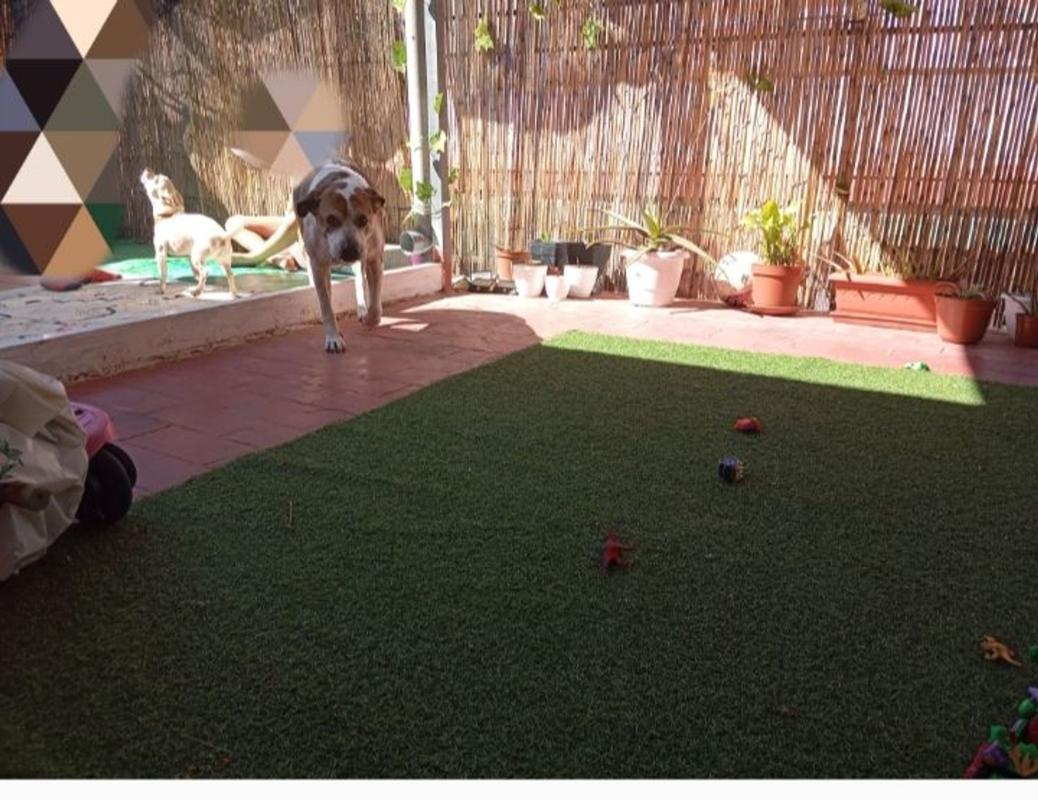 Продажа пентхауса на Ático en Calle de Sant Antoni, 11, Centro Urbano, Benidorm, Бенидорм photo 2