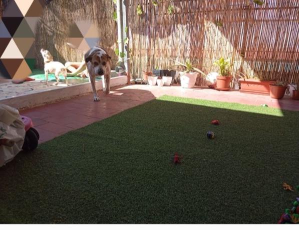 Ático en venta en Ático en Calle de Sant Antoni, 11, Centro Urbano, Benidorm, Benidorm thumbnail 1