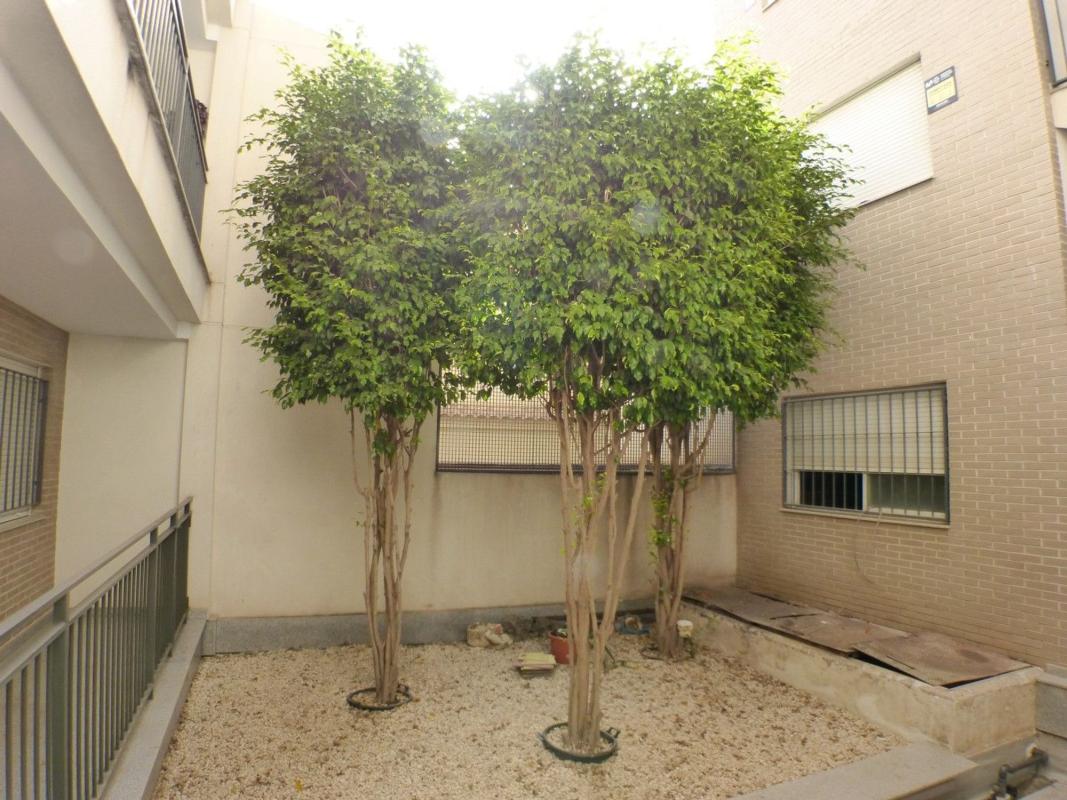Venta de piso en Centro, San Vicente del Raspeig
photo 1