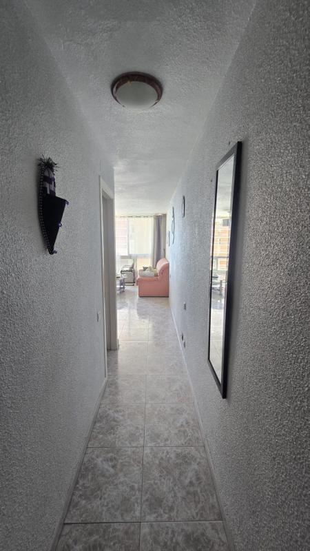 Sale of apartment in Piso en La Albufereta, Alicante / Alacant, Alicante
 photo 5