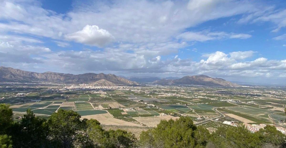 Venta de finca rústica en Finca rústica en Desamparados-Hurchillo-Torremendo, Orihuela , Orihuela photo 1