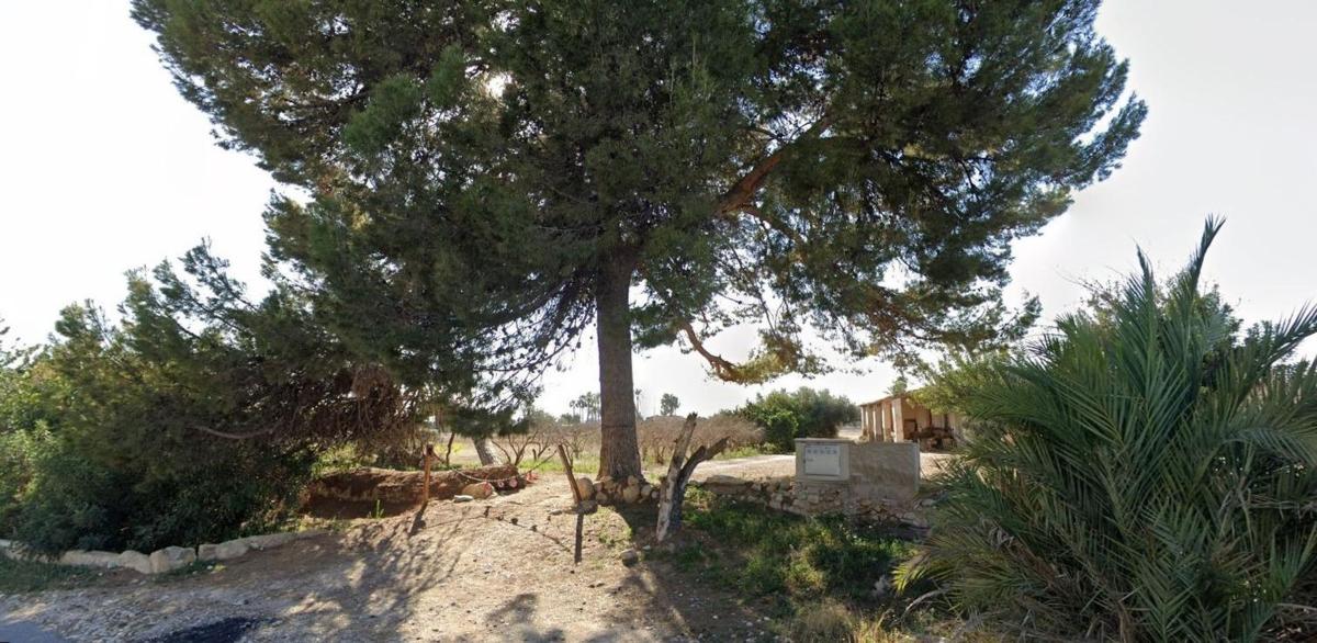 Sprzedaż działki rolnej w Finca rústica en Partida Matola s/n, Algoda-Matola-Llano de San José, Elche / Elx , Elche / Elx photo 1