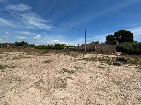 Finca rustykalna na sprzedaż w  Finca rústica en Partida Matola s/n, Algoda-Matola-Llano de San José, Elche / Elx , Elche / Elx photo 3