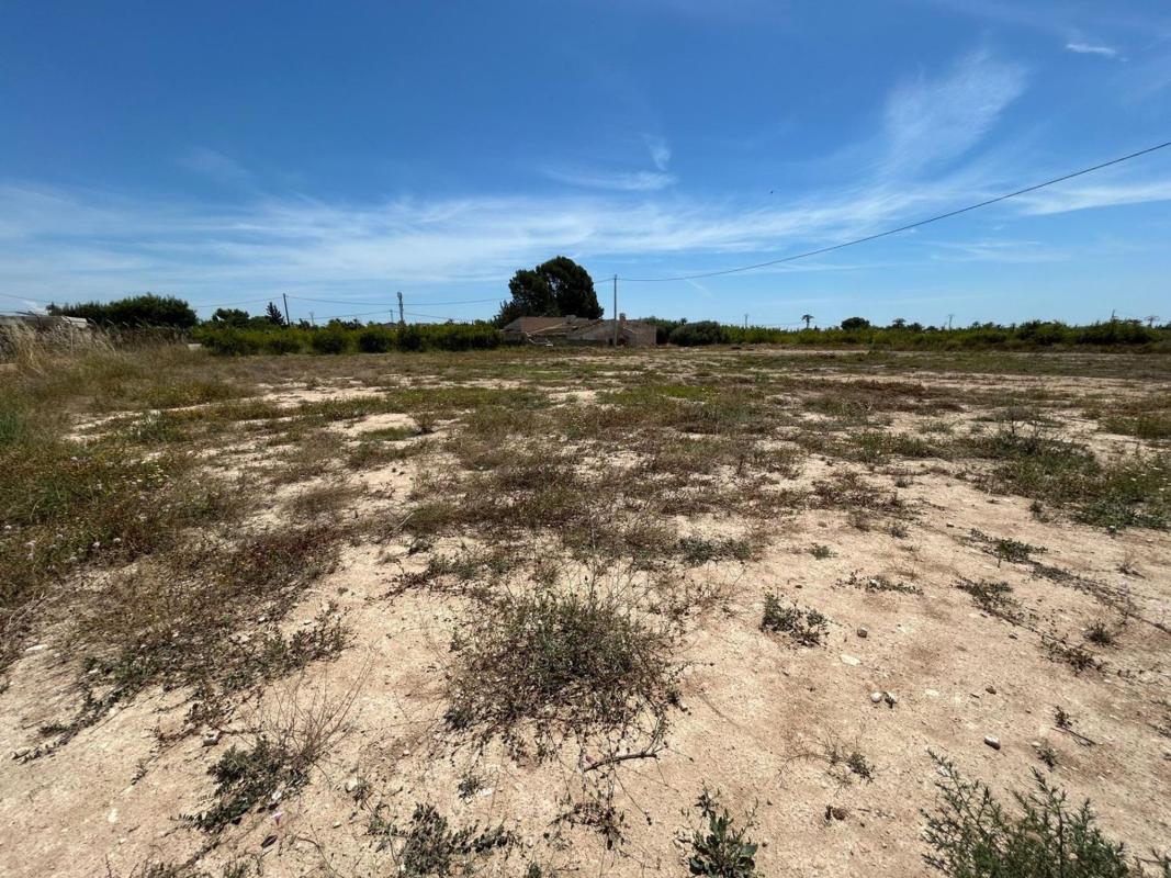 Sprzedaż działki rolnej w Finca rústica en Partida Matola s/n, Algoda-Matola-Llano de San José, Elche / Elx , Elche / Elx photo 5