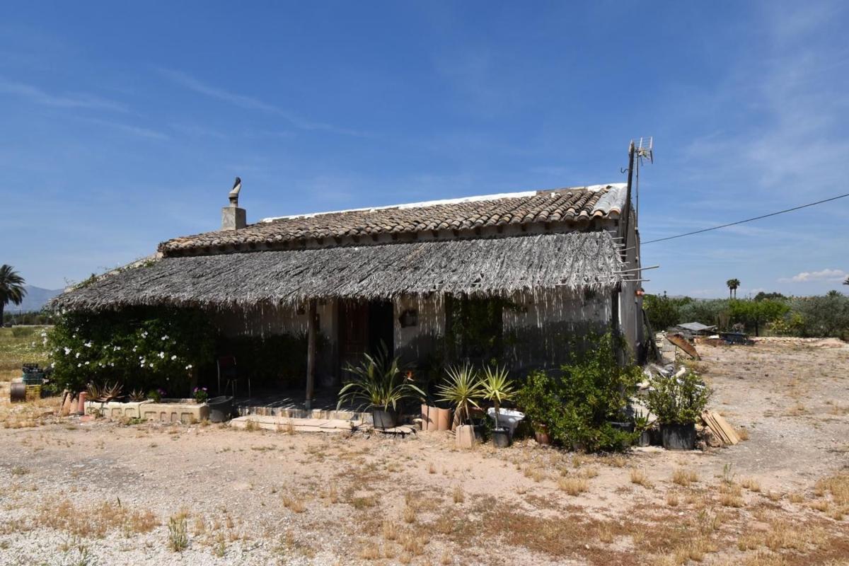 Sprzedaż niezależnego domku jednorodzinnego w Casa o chalet independiente en Partida Matola, Algoda-Matola-Llano de San José, Elche / Elx, Elche / Elx photo 3