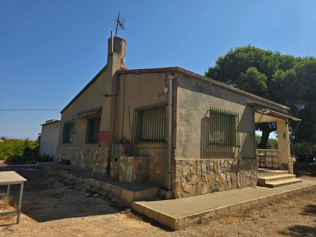 Venta de finca rústica en  Finca rústica en Alto Partida Valverde, Valverde, Elche / Elx , Elche / Elx photo 3