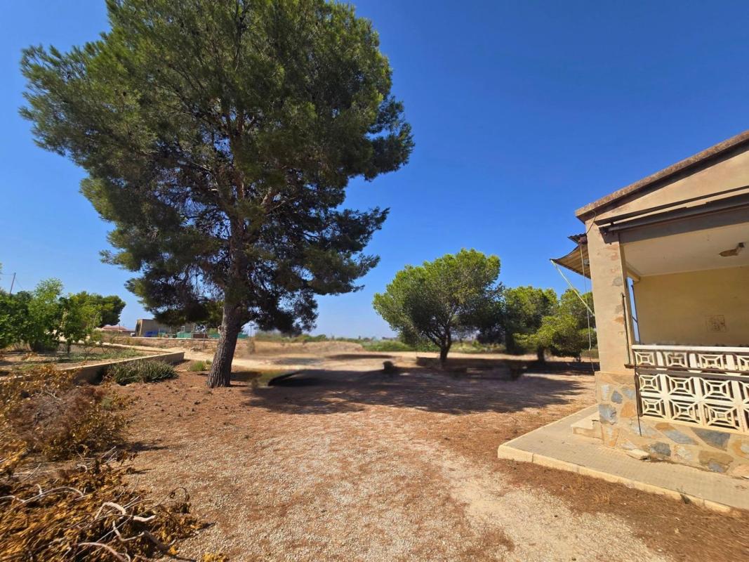 Venta de finca rústica en  Finca rústica en Alto Partida Valverde, Valverde, Elche / Elx , Elche / Elx photo 4