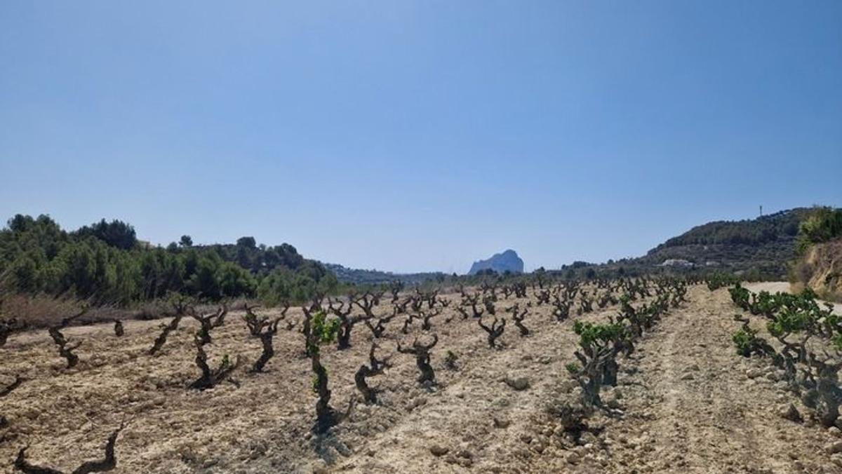 Terreno en venta en Benissa, Alicante photo 2