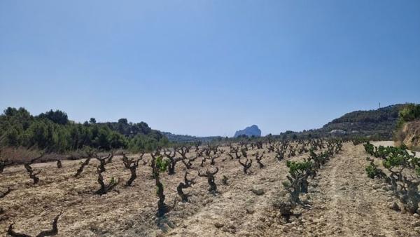 Terreno en Benissa pueblo, Benissa thumbnail 1