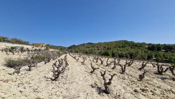 Terreno en Benissa pueblo, Benissa thumbnail 2