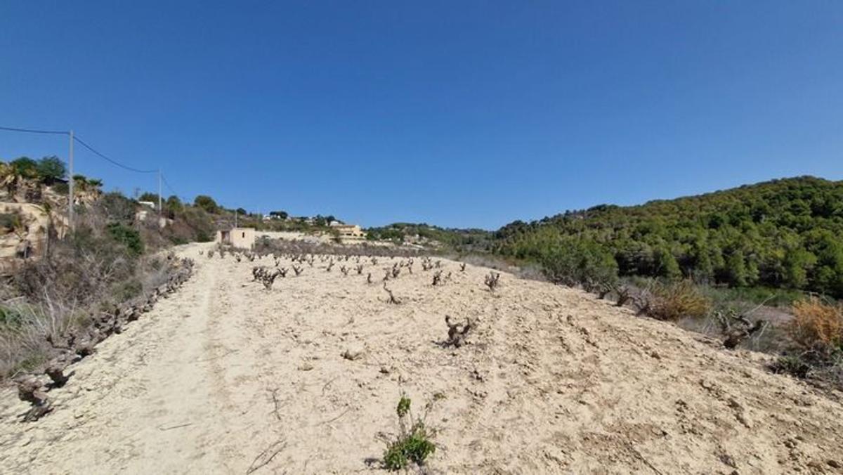 Terreno en venta en Benissa, Alicante photo 4