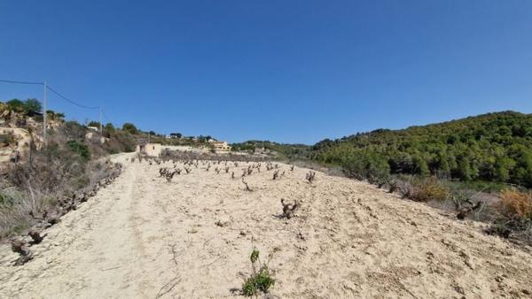 Terreno en Benissa pueblo, Benissa photo 4