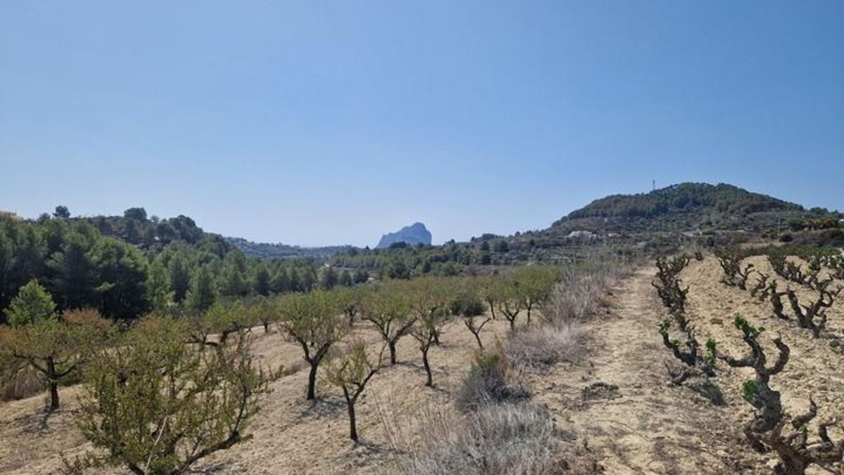 Terreno en venta en Benissa, Alicante photo 5