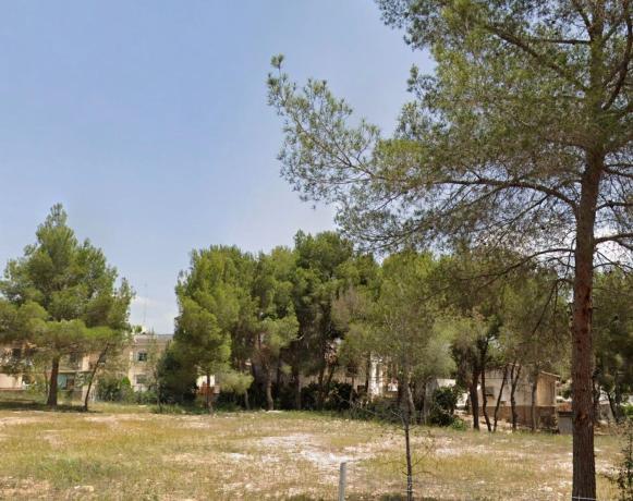 Terreno en Jinjolero, 15, Pinar de Campoverde, Pilar de la Horadada photo 3