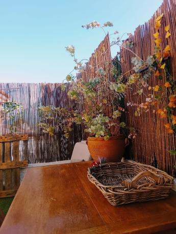 Terraced house for sale at Benimar , Rojales photo 1