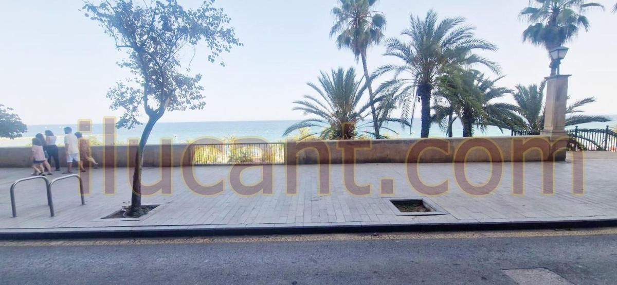 Venta de piso en Piso en Raval Roig-Virgen del Socorro, Alicante / Alacant, Alicante / Alacant
photo 3