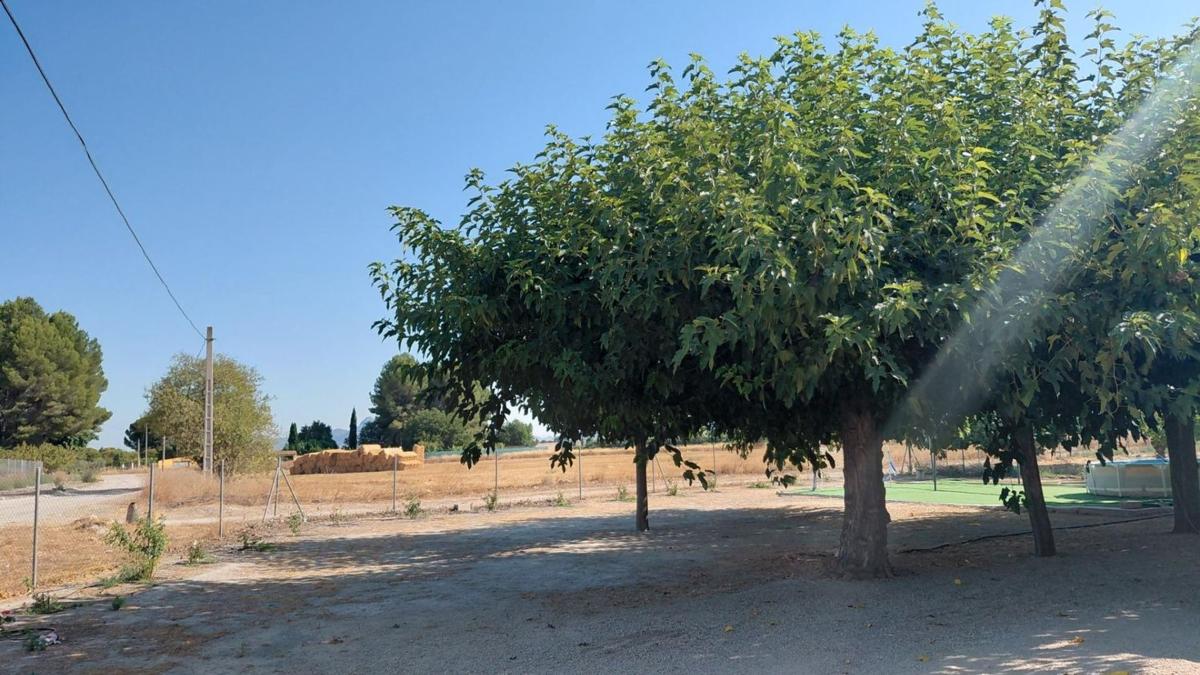 Venta de finca rústica en Las Tiesas , Villena photo 1