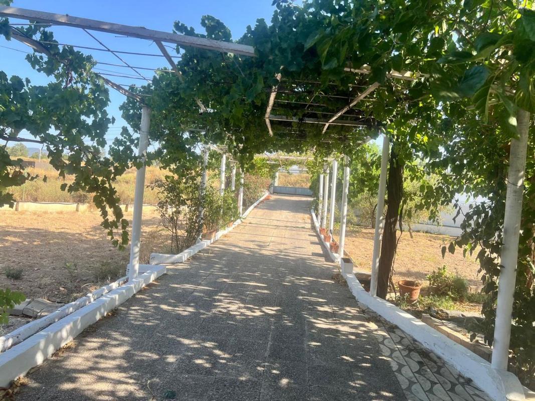 Продажа загородного участка в Finca rústica en Carretera Elda-Sax, Sax , Сакс photo 2
