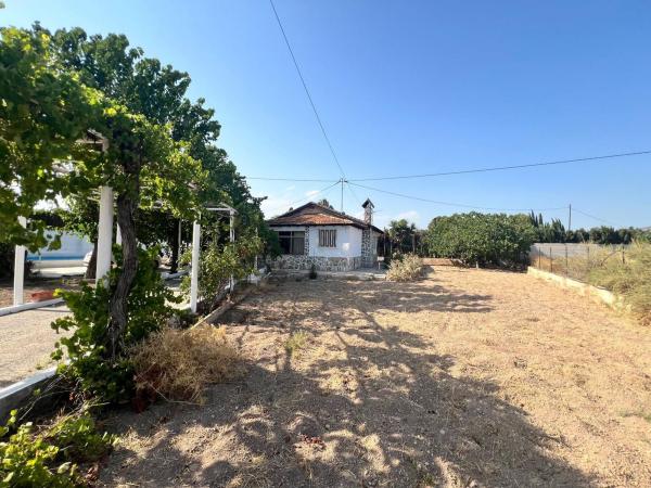 Rustic farm for sale in  Finca rústica en Carretera Elda-Sax, Sax , Sax photo 3
