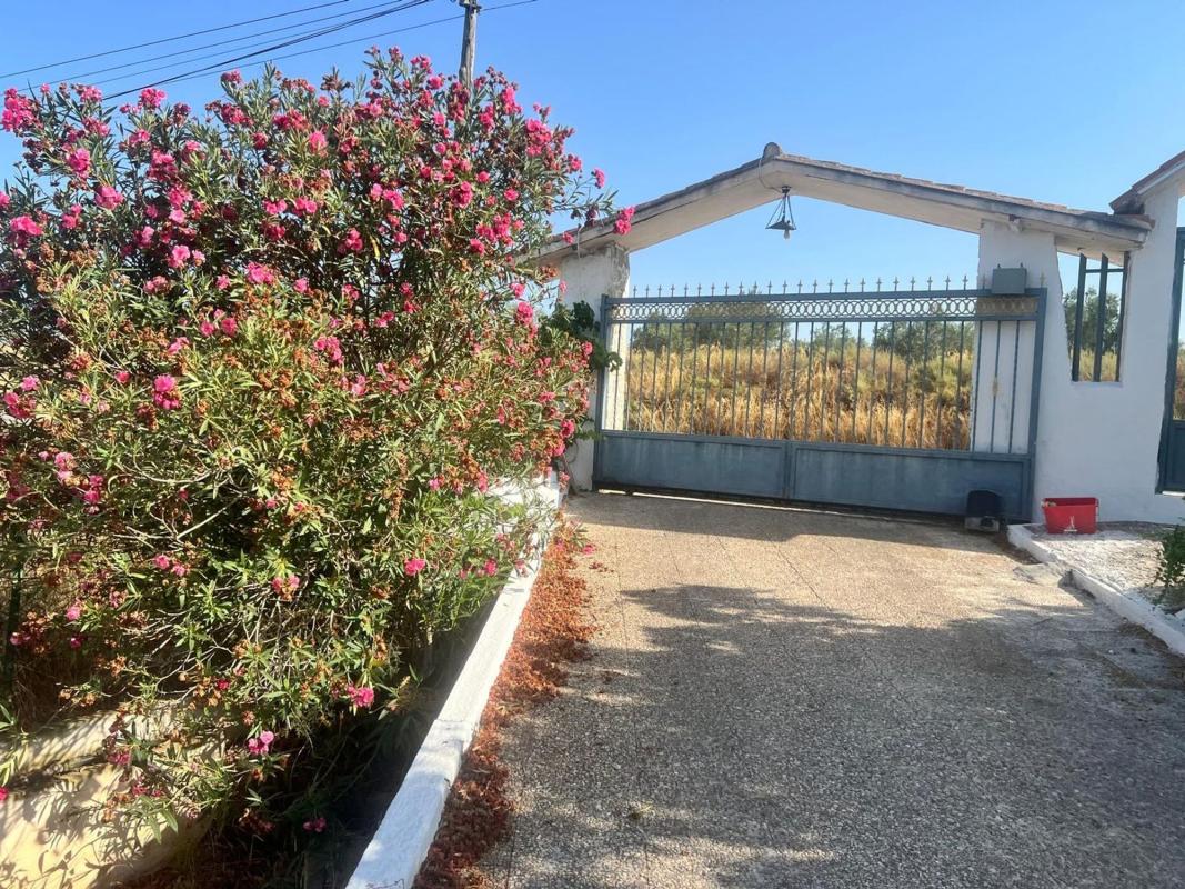 Продажа загородного участка в Finca rústica en Carretera Elda-Sax, Sax , Сакс photo 4