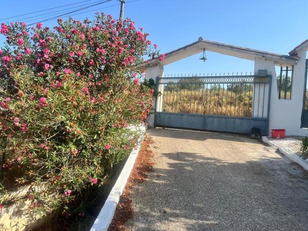 Rustic farm for sale in  Finca rústica en Carretera Elda-Sax, Sax , Sax photo 4