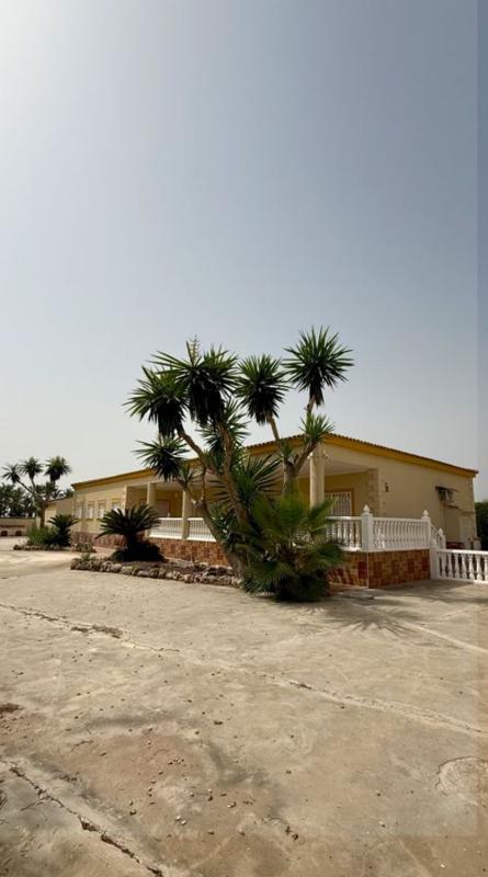 Продажа отдельного шале в Casa o chalet independiente en Pd Daimes, 3075, La Hoya-Daimes-El Derramador, Elche / Elx, Эльче / Эльх photo 3