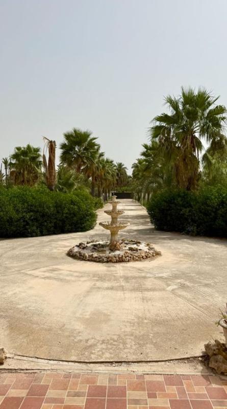 Продажа отдельного шале в Casa o chalet independiente en Pd Daimes, 3075, La Hoya-Daimes-El Derramador, Elche / Elx, Эльче / Эльх photo 5