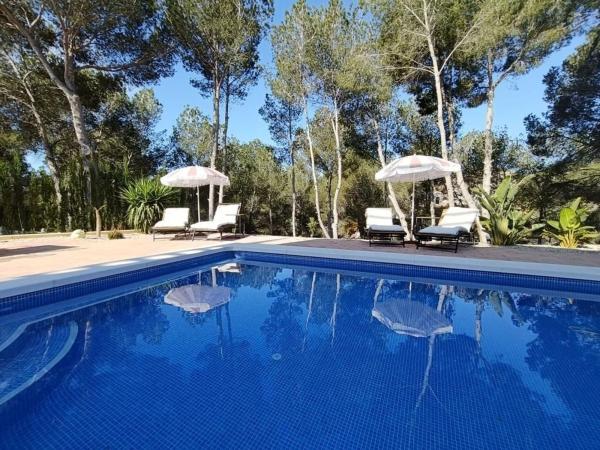 Independent chalet for sale in Casa o chalet independiente en Pinar de Campoverde, Pilar de la Horadada, Pilar de la Horadada
 photo 4
