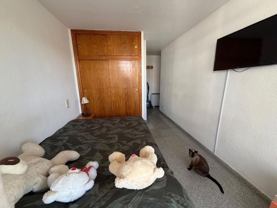 Venta de piso en Piso en Porticada, 5, Las Viñas, Guardamar del Segura, Guardamar del Segura
photo 5