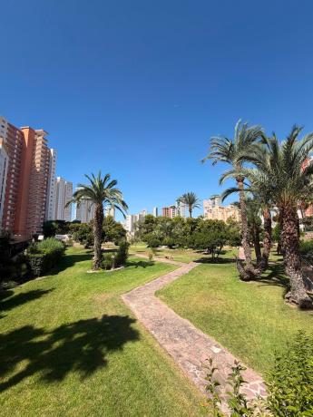 Estudio en venta en Estudio en Playa de Poniente, Benidorm, Benidorm photo 1