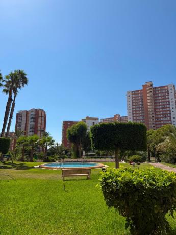 Estudio en venta en Estudio en Playa de Poniente, Benidorm, Benidorm thumbnail 3