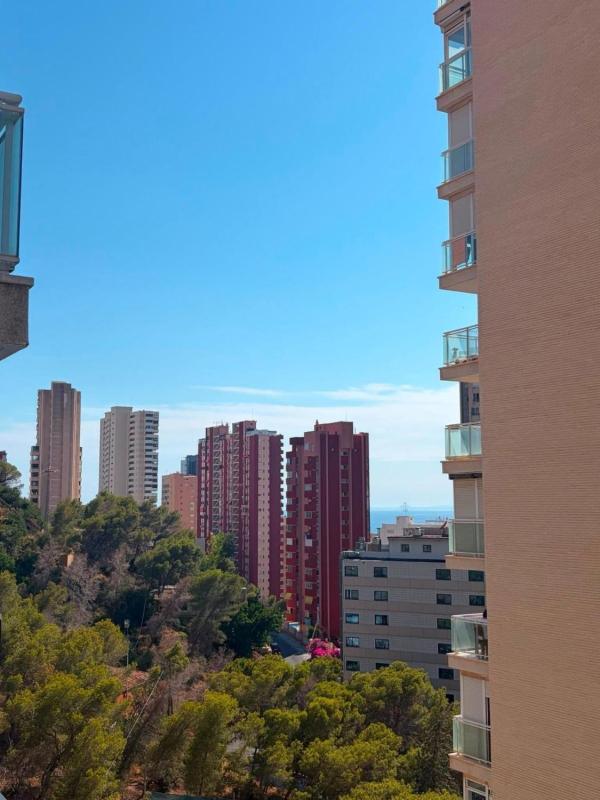 Venta de piso en Piso en Zona Sierra Helada, Benidorm, Benidorm
 photo 5