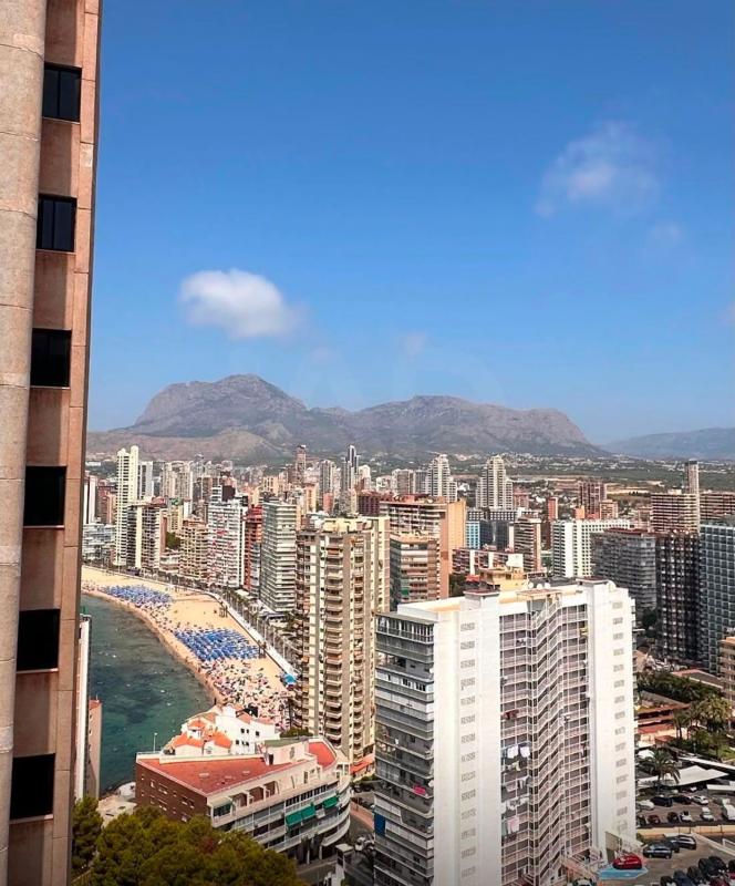 Sale of apartment in Piso en Zona Sierra Helada, Benidorm, Benidorm
photo 4