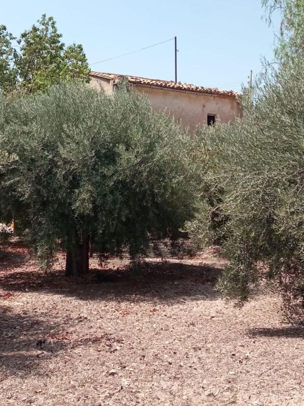 Venta de chalet independiente en Casa o chalet independiente en La Huerta, Mutxamel, Mutxamel
photo 4