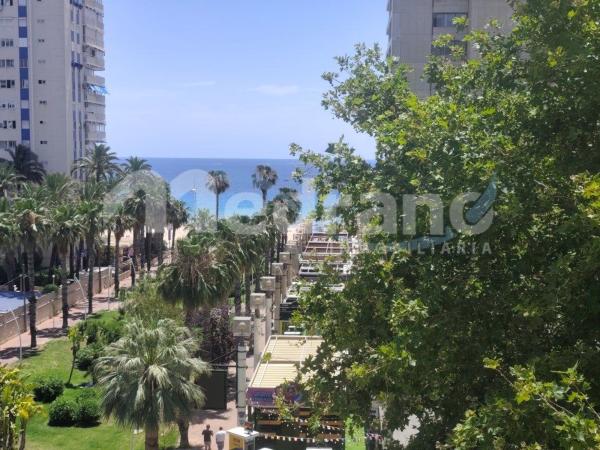 Venta de piso en Piso en Playa de Levante, Benidorm, Benidorm
photo 1