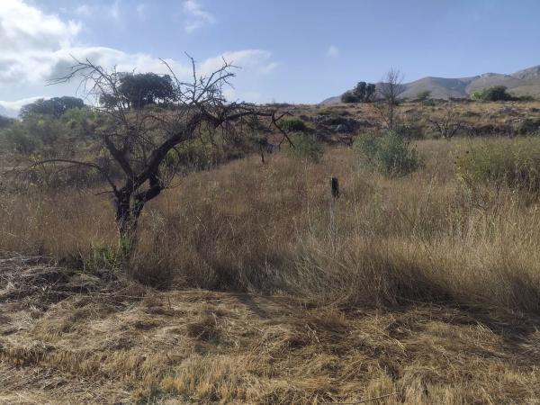 Terreno en el bosc, 821, Vall de Gallinera photo