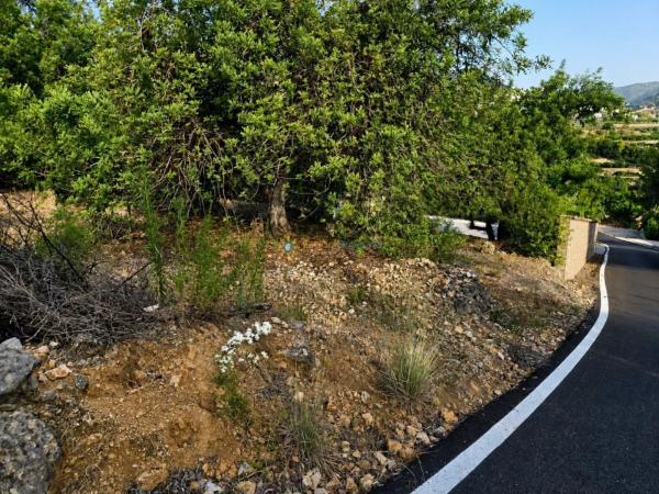 Terreno en Adsubia photo 4