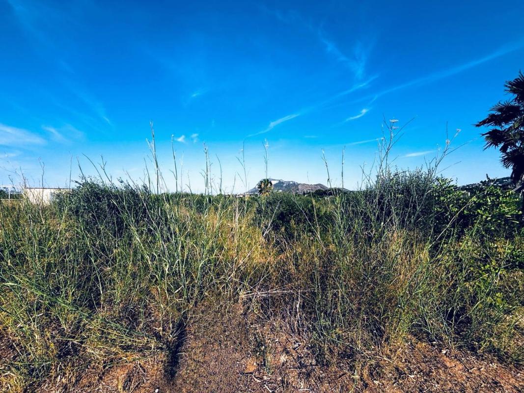 Terreno en venta en Denia, Alicante photo 5