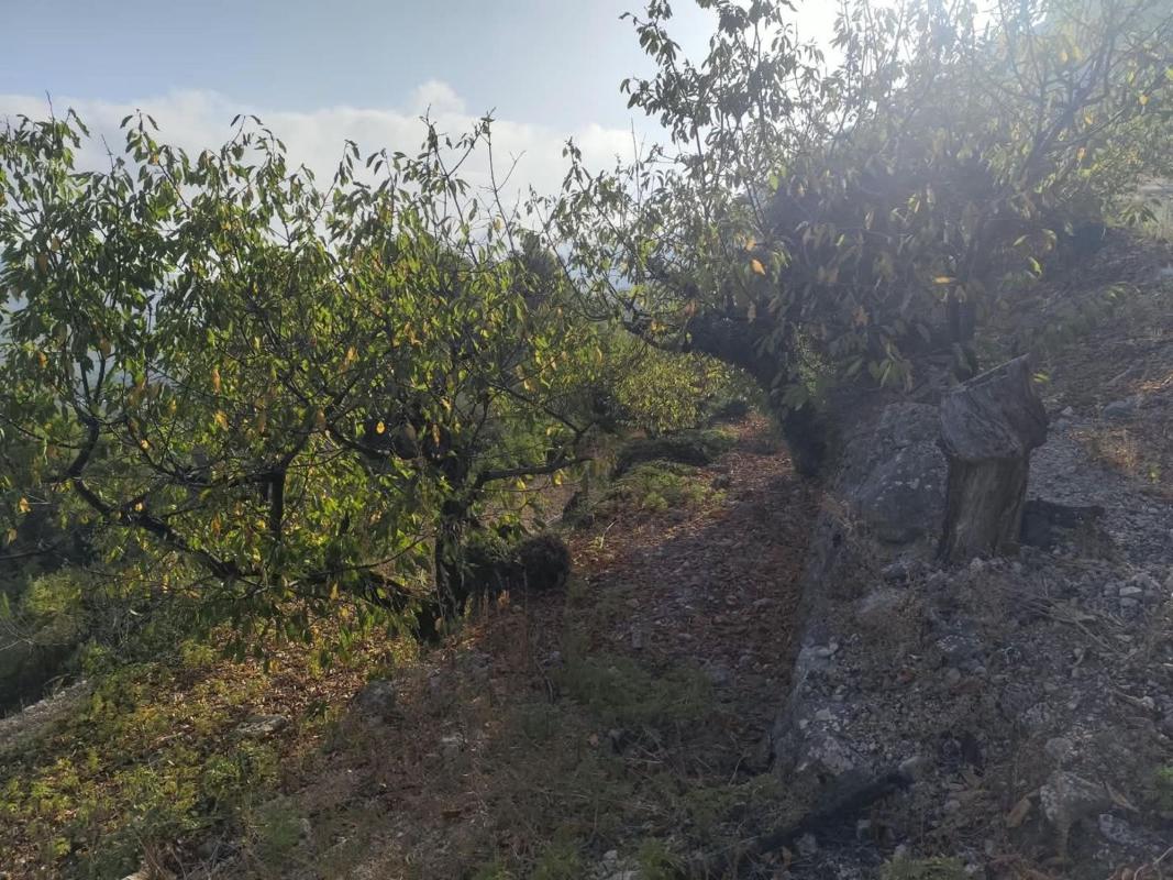 Działka na sprzedaż w Val de Gallinera, Alicante photo 2