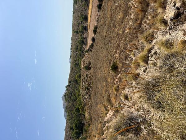 Terreno en Camino del Plá de Rufa, Agost thumbnail 1