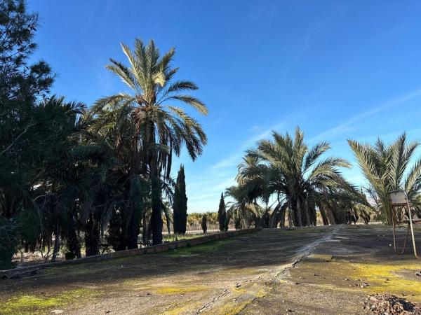 Terreno en Algoda-Matola-Llano de San José, Elche / Elx thumbnail 2
