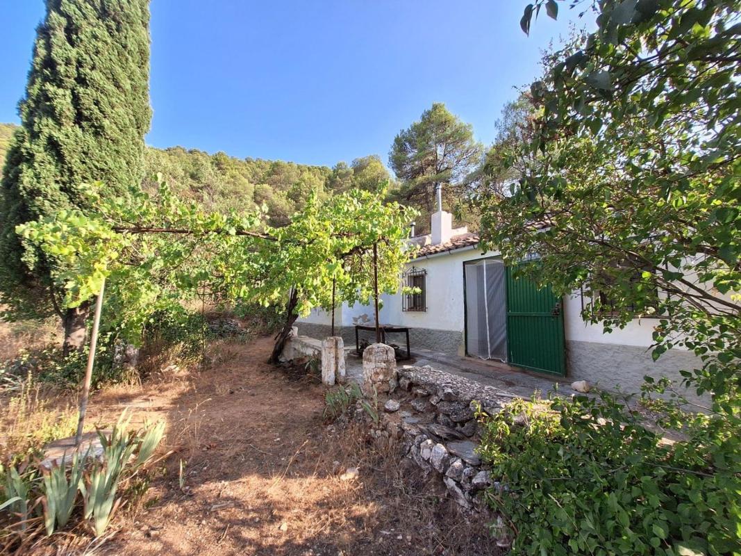 Продажа загородного участка в Finca rústica en Partida Sentbenet Baix, Centro - Zona Alta, Alcoy / Alcoi , Алкой photo 2