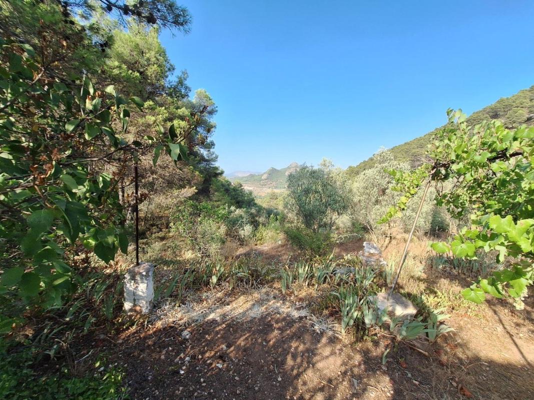 Продажа загородного участка в Finca rústica en Partida Sentbenet Baix, Centro - Zona Alta, Alcoy / Alcoi , Алкой photo 3